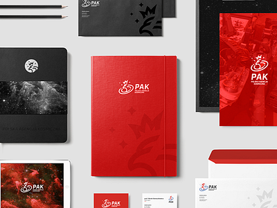 Polish Space Agency branding clean corporate identity ipad logo logotype minimal