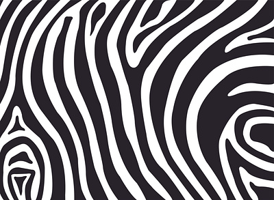 zebra pattern style