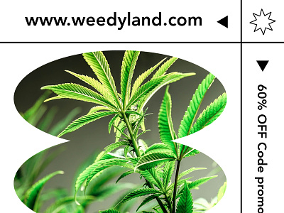 https://www.weedyland.com/ branding cbdflower cbdfrance design illustration logo