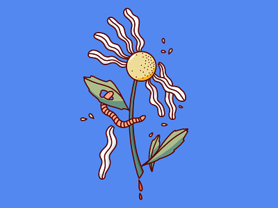 flower bloods design illustration procreate