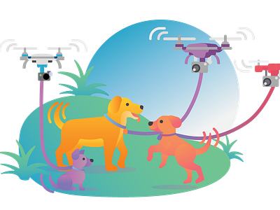 Dogs and drones chihuahua dog dog walker drone golden retriever gradient grass park play