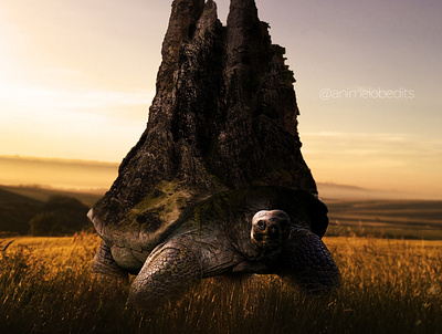 SPIRIT TORTOISE anime art bg graphic design matte painting photo editing photo manipulation