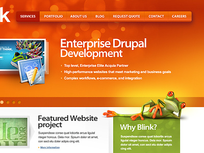 Re:design 2.0 design frog orange web website