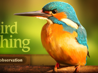 Bird bird design dof forest icon illustration navigation web wood zoo