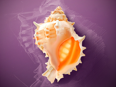 Seashell background icon illustration pencil sea shadow shell sketch technique tutorial