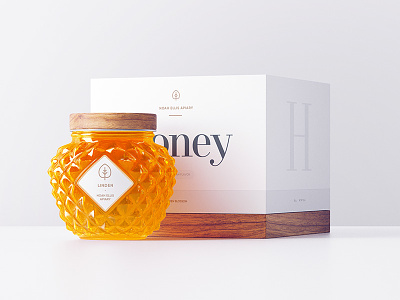 Noah Ellis Apiary / Packaging 3d box design flat glass glyph gradient honey icon minimal packaging paper soft texture typography wood