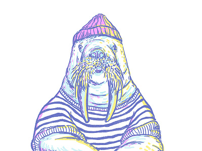 Walrus Sailor animal hipster mammal sailor sea walrus