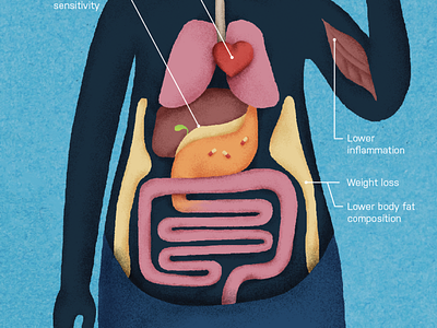 Internal Organs editorial editorial illustration infographic organ pill