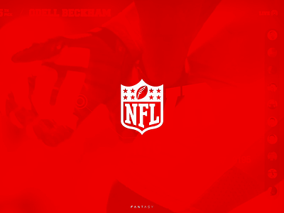 NFL by Fantasy cover