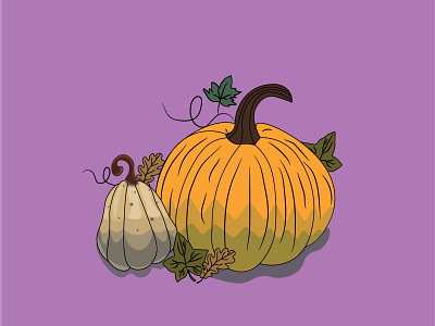 Pumpkins graphic design illustration