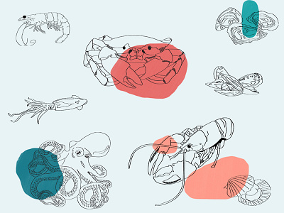 Seafood Illustration illustration illustrator photoshop seafood