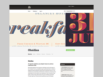 Hoefler&Co. Detail Page Concept concept hoefler redesign typography