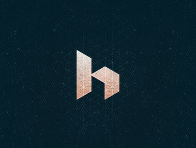 H1 30 day logo challenge 30daychallenge 36 days of type 36daysoftype aletteraday algeria grunge h isometric isometry logo monogram monogram logo typogaphy