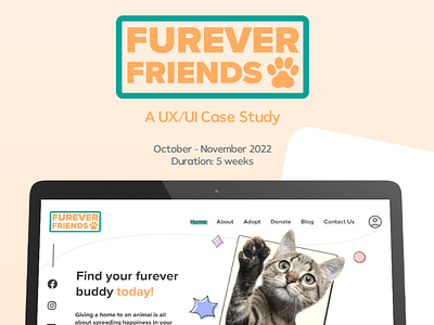 Pet Shelter Website app branding design logo ui ux
