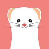 Dribbble profile picture for @lacey