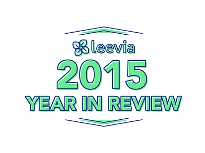 Leevia 2015 Year in Review 2015 adobe illustrator infographic leevia typography vector year in review