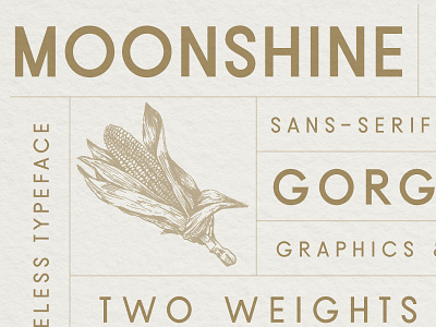 Moonshine Font | A Classic Sans Serif