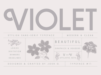 Violet | A Stylish Sans Serif floral sans serif stylistic typeface violet