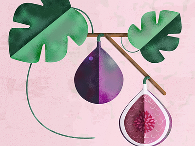 Figs art colours creative flatdesign fruit illustration illustrationart illustrator photoshop texture vector vectorart