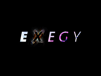 Exegy logo data reverse technology x