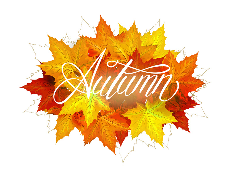 Autumn by Amishka on Dribbble