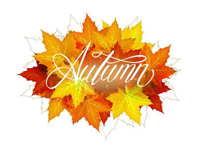 Autumn autumn leaves lettering weather