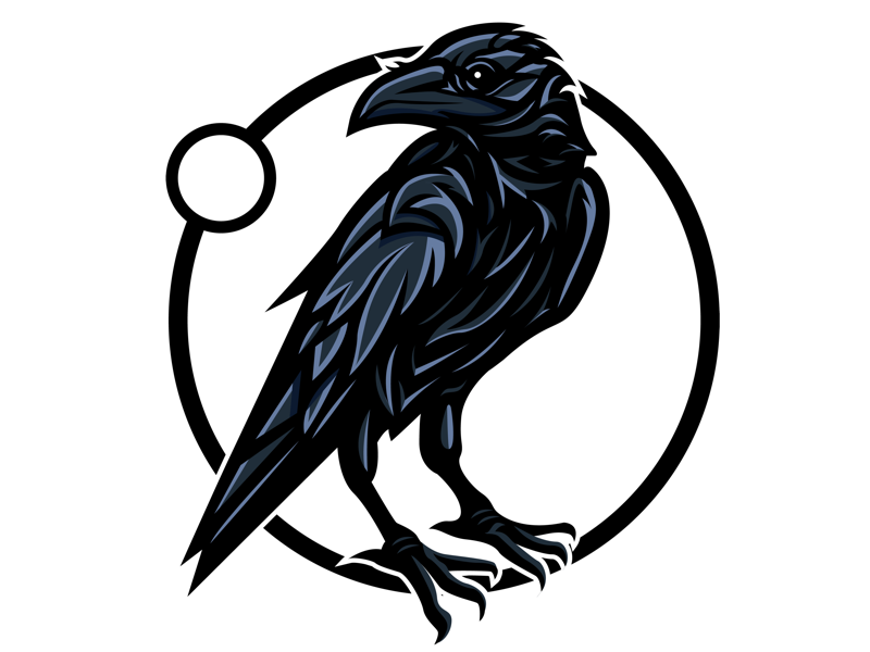 Download Raven by Brad Ludwig on Dribbble