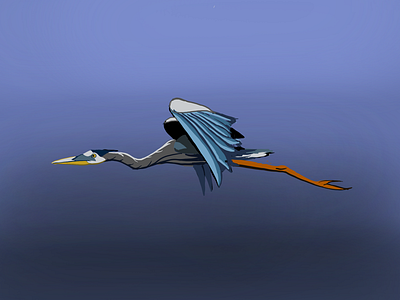 Blue Heron blue heron digital art