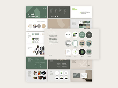 Brand Identity & Web Design for SC&T branding branding guidelines design graphic design illustration logo visual identity web design