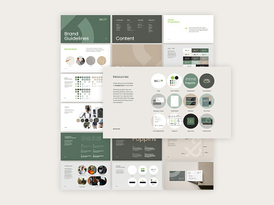 Brand Identity & Web Design for SC&T