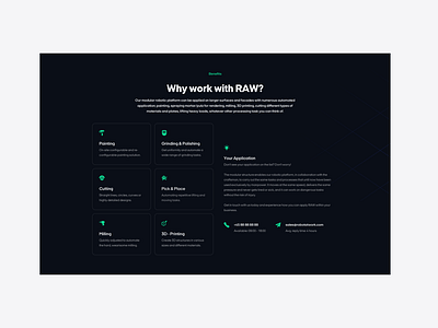 Key Selling Point Section - RAW Web Design