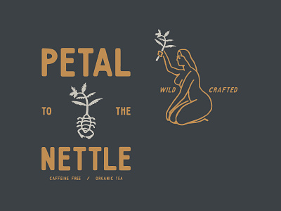 petal to the nettle illustration reillysauer typography