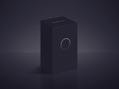 WYZE CAM Gift black package wyze gift