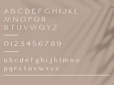 All Glyps - Pabriqa Font classic design font modern typography