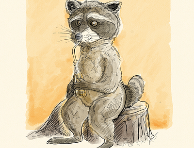Soda Raccoon illustration