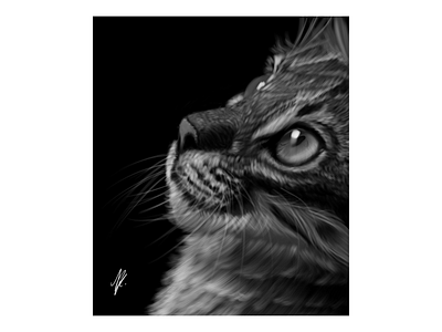 Sparkly Eyes animals cat cats design digital art digital drawing digital painting illustration pets