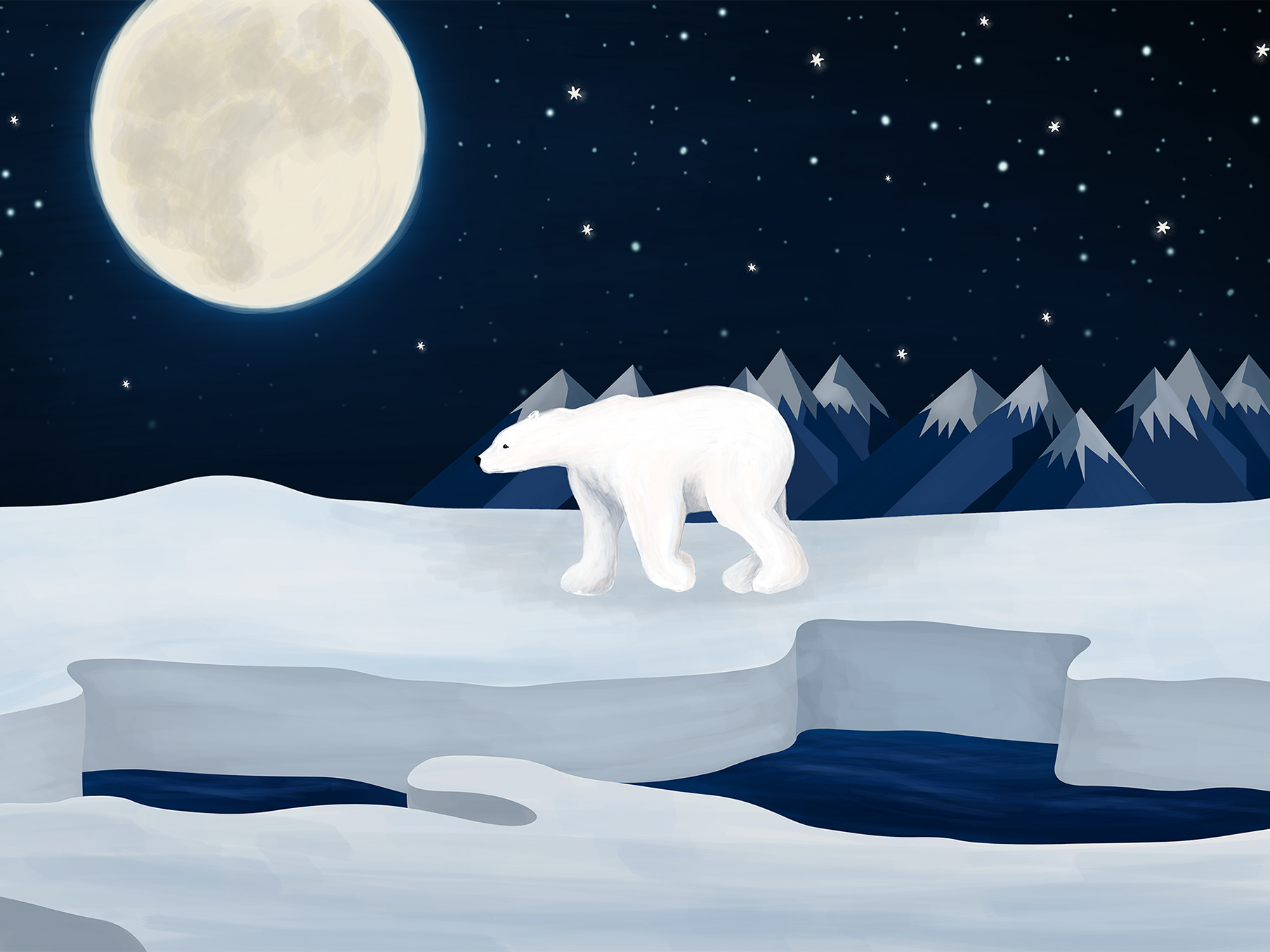 Polar Bear Illustration
 Polar Bear Illustration by Anneli Strecker Dribbble