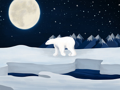 Polar Bear Illustration