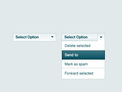 Select Option cpanel select box ui