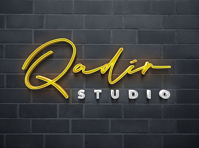 Qadir Studio branding logo logo design studio vector