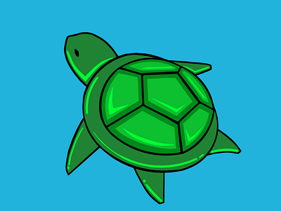 Turtle design graphic design illustration logo