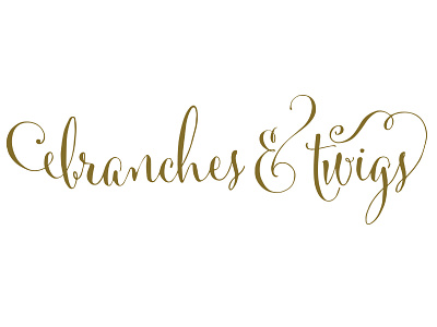 Branches & Twigs branding business cards logo postcards