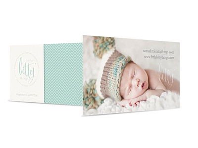 Little Bitty Things branding logo print collateral website