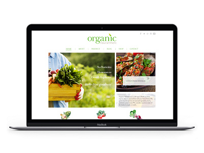 Organic Nourishment branding logo packaging print collateral website