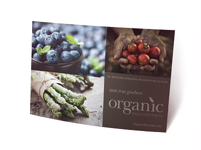 Organic Nourishment branding logo print collateral tagline website