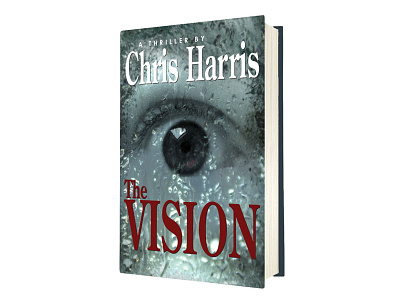 The Vision book cover book jacket