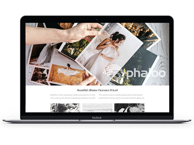 Phaloo branding design marketing social social media website