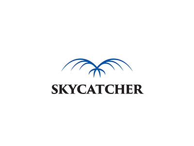 SkyCatcher bird blue catcher catching clouds eagle sky skycatcher