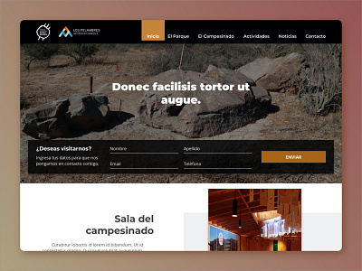 Parque Rupestre Monte Aranda chile design ui ui design web website