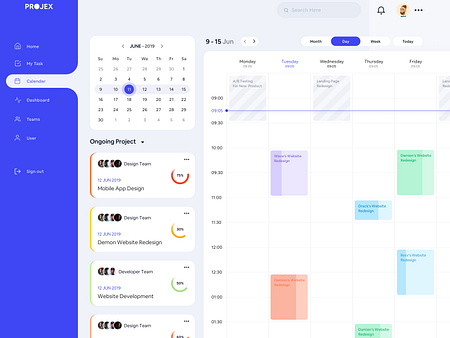 Project Management - Calendar by Mufidul for Hiwow on Dribbble